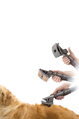 Set universal de accesorii Dyson pentru animale de companie – câini și pisici